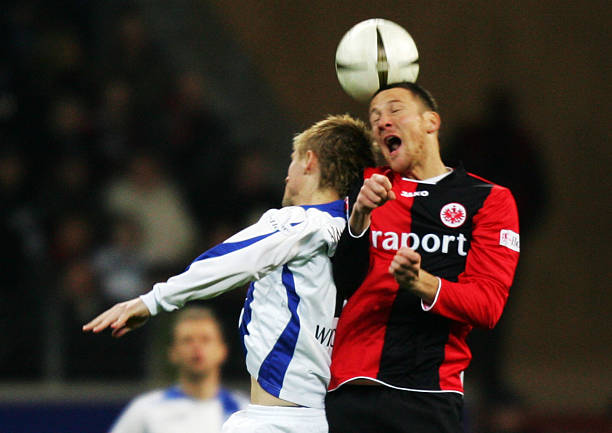 引入马蒂奇 引入马蒂奇