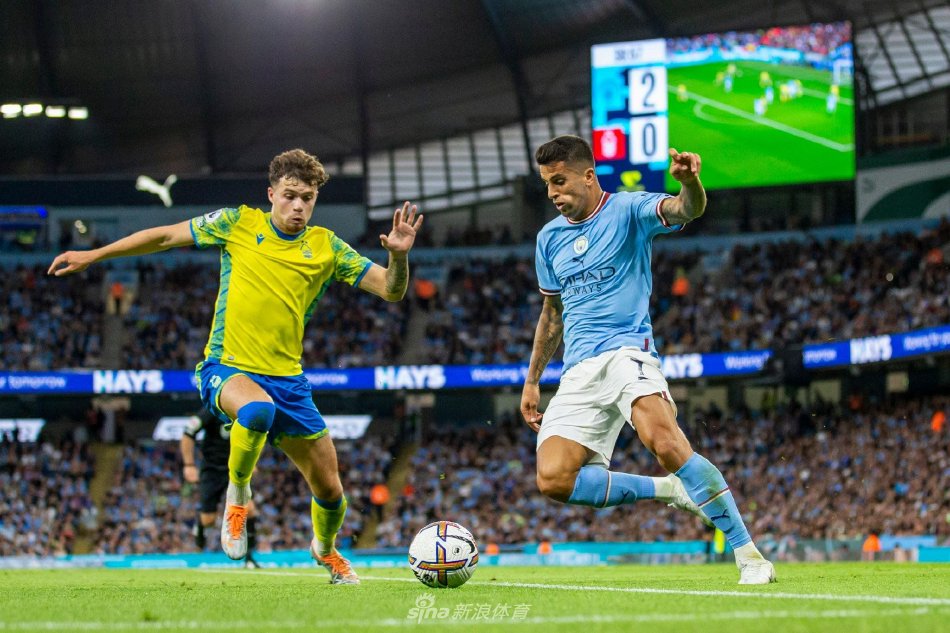 部稳健的财 部稳健的财